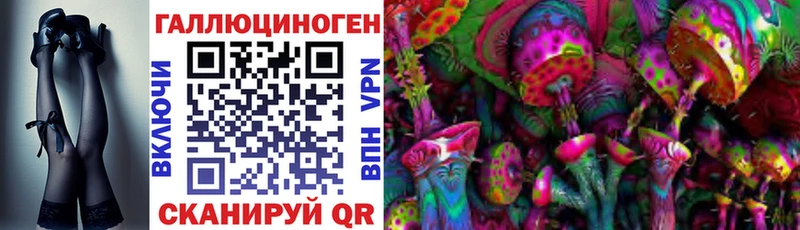 Купить  Аргун  Псилоцибиновые грибы MAGIC MUSHROOMS 